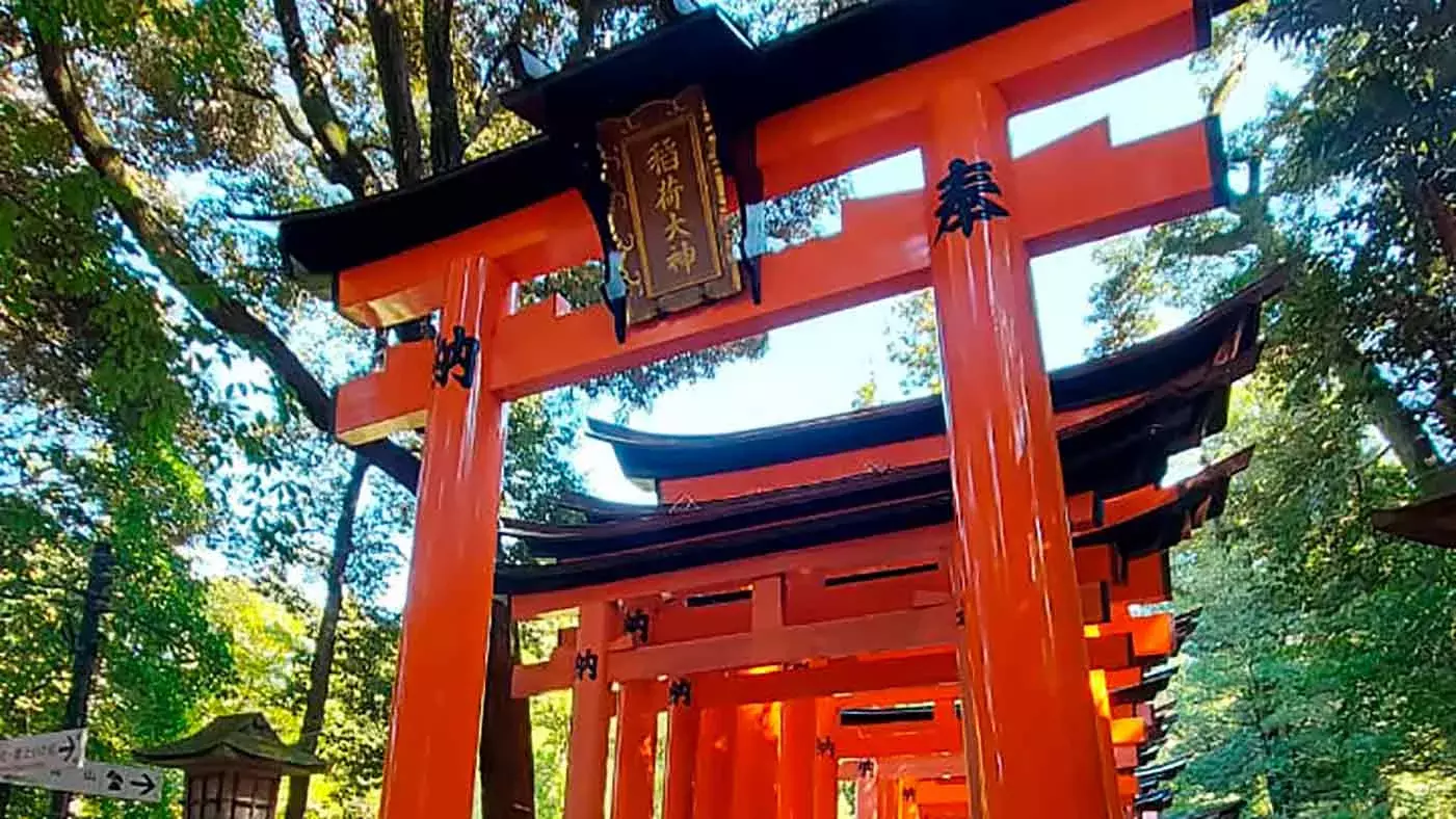 Alumnos de Tec Guadalajara plasman cultura japonesa en arte visual.