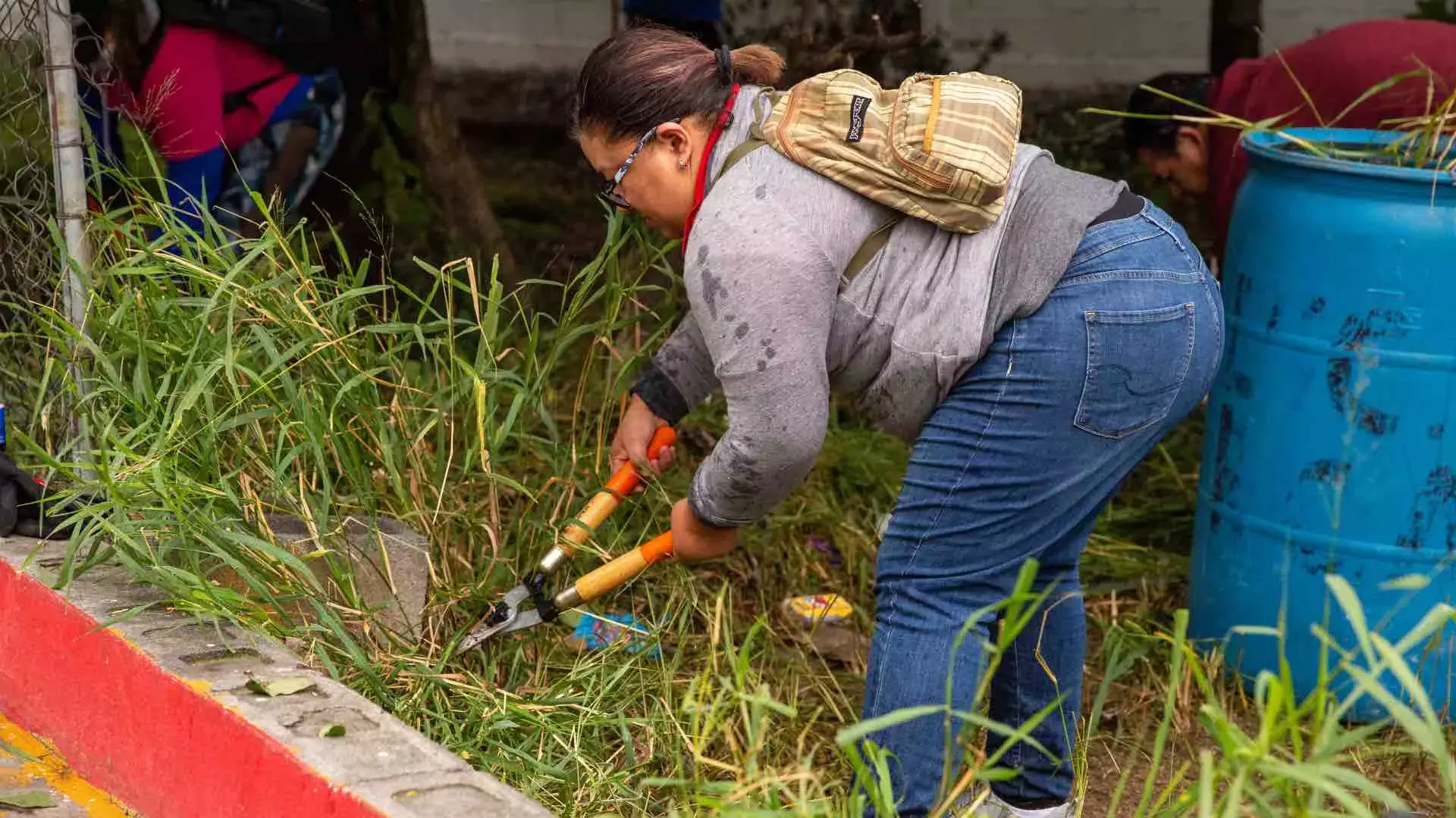 Voluntarios realizan mejoras en áreas verdes de las escuelas públicas.