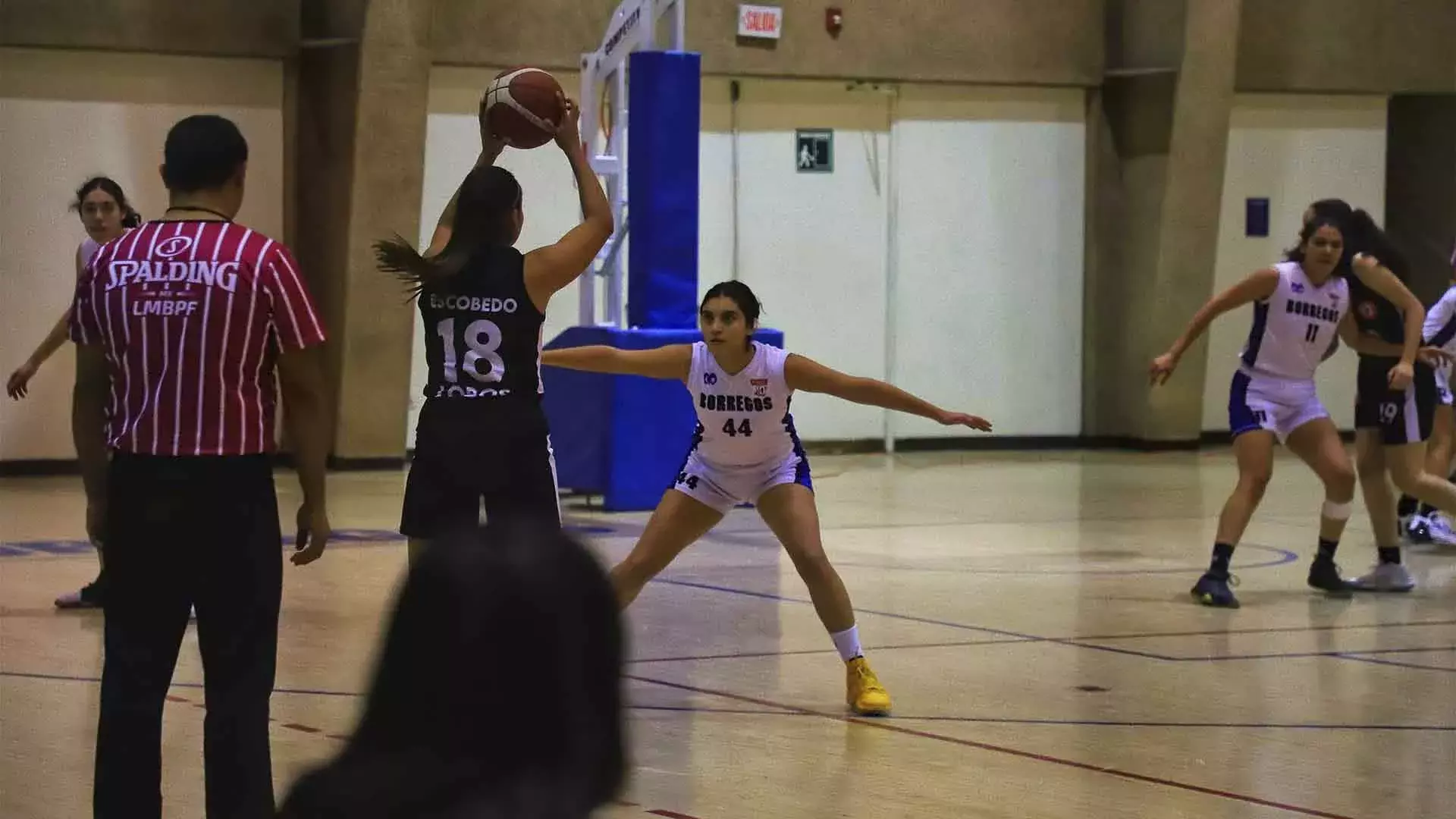 Borregos Laguna tuvieron buena participación en basquetbol femenil