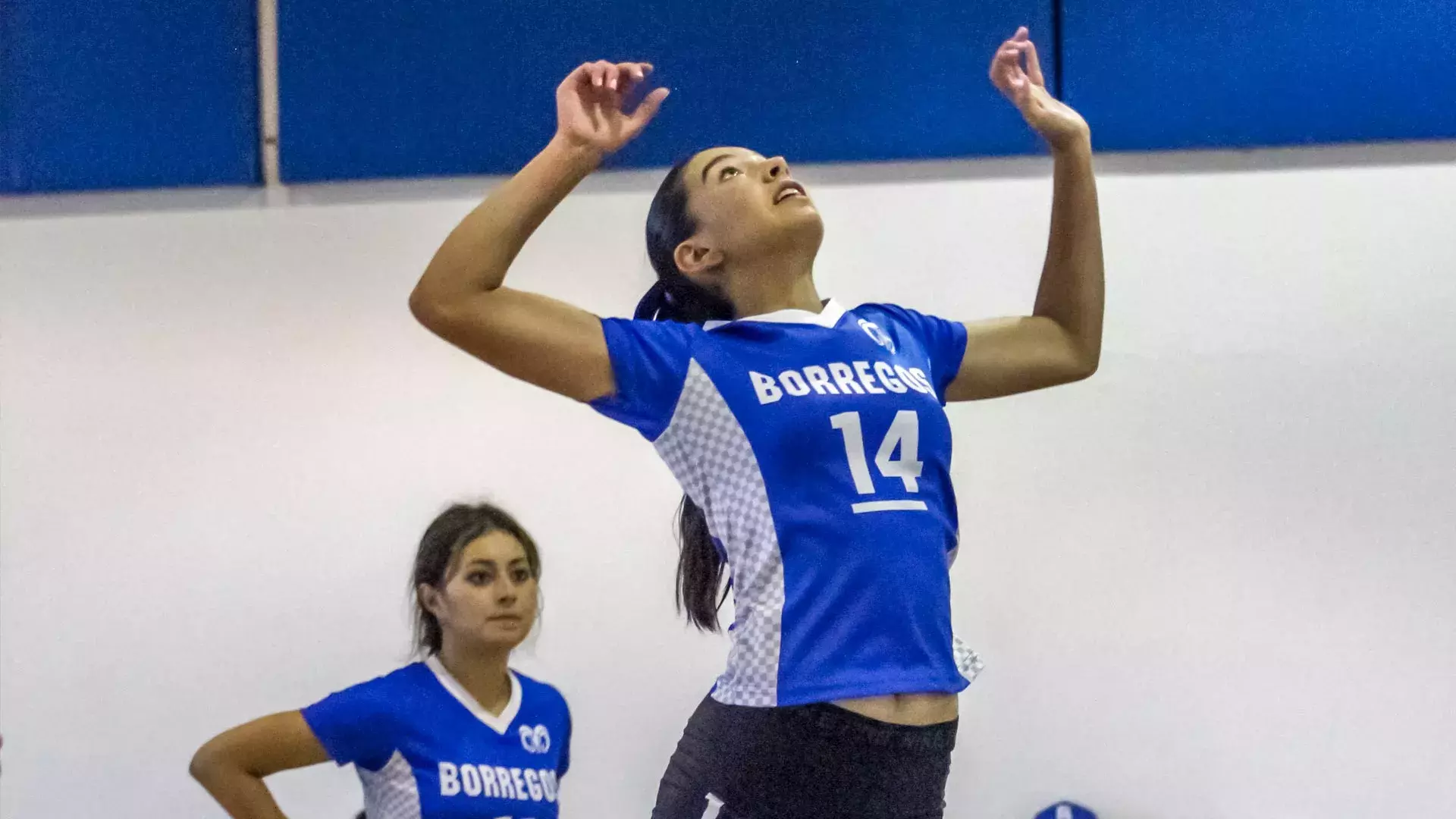 Copa Borregos 2023 del Tecnológico de Monterrey campus Ciudad Obregón