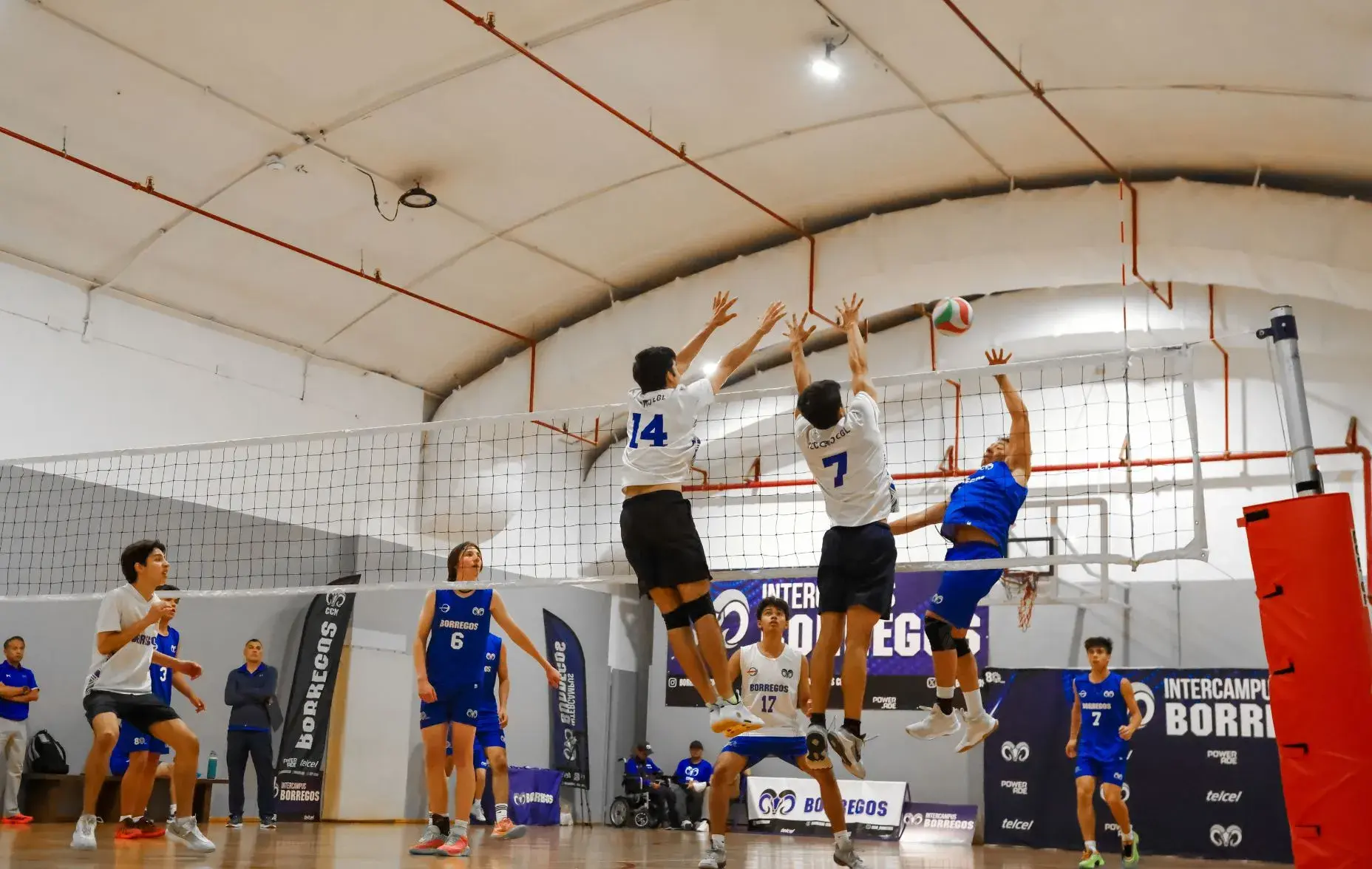 Copa Intercampus