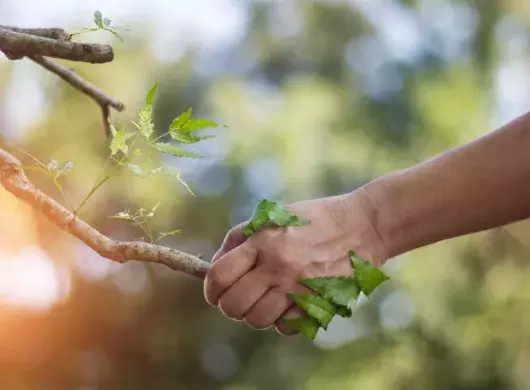 ¿Qué puedes hacer tú para cuidar el medio ambiente?