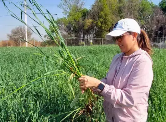 Estudiante del Tec Campus Querétaro durante su trabajo de campo en el CAETEC