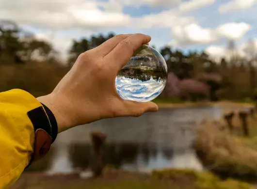 Profesores del Tec presentan emprendimientos que cuidan el agua