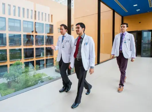 Campus Ciencias de la Salud se ubicará en el Hospital Zambrano Hellion