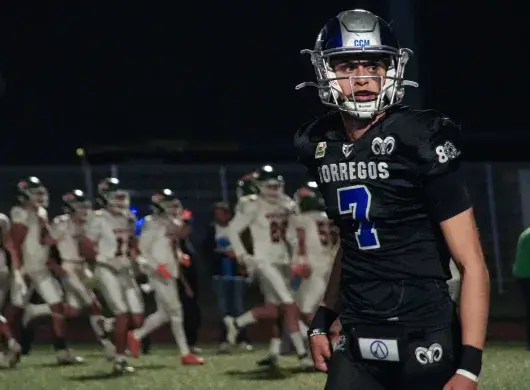 Borregos CCM en semifinal