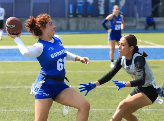 Intercampus Borregos 2026