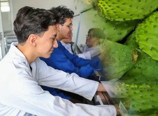 Estudiantes del Tec en Estado de México desarrollan bioplástico a base de nopal, una alternativa sustentable a los desechos tradicionales.