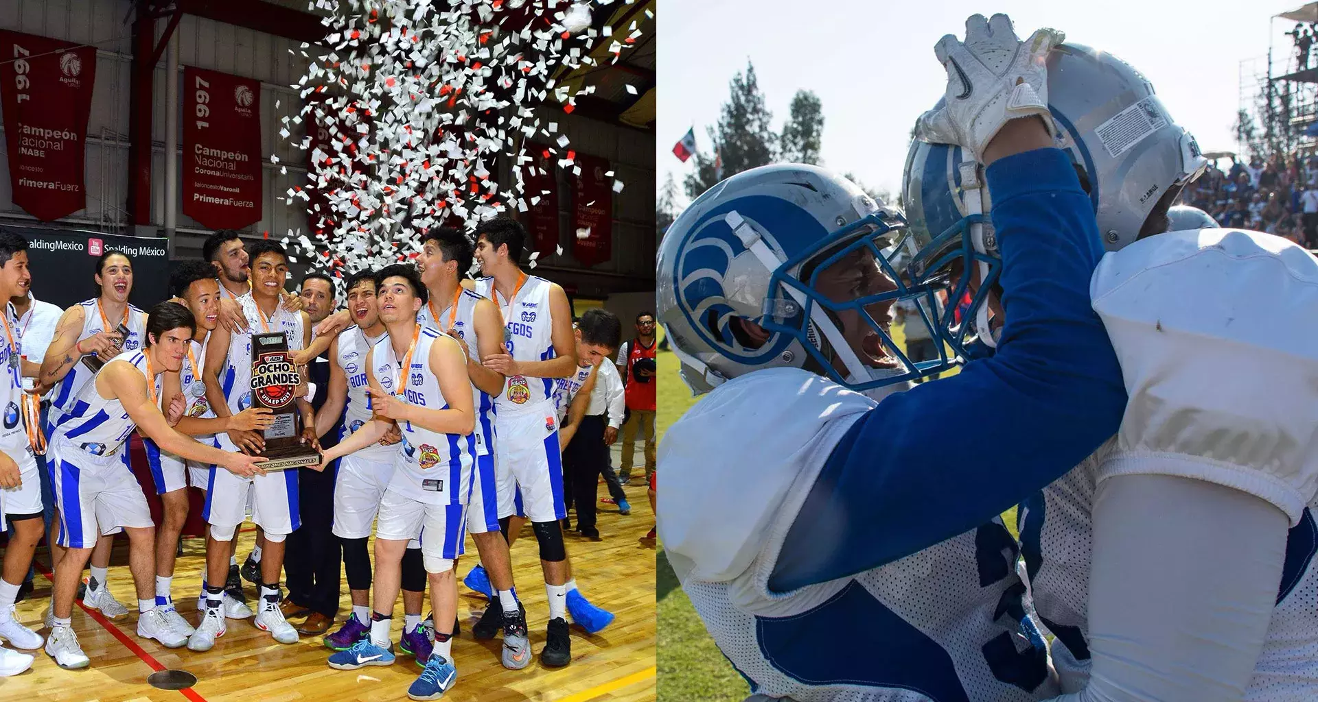 Borregos, campeones en basquetbol y futbol americano colegial en el 2017