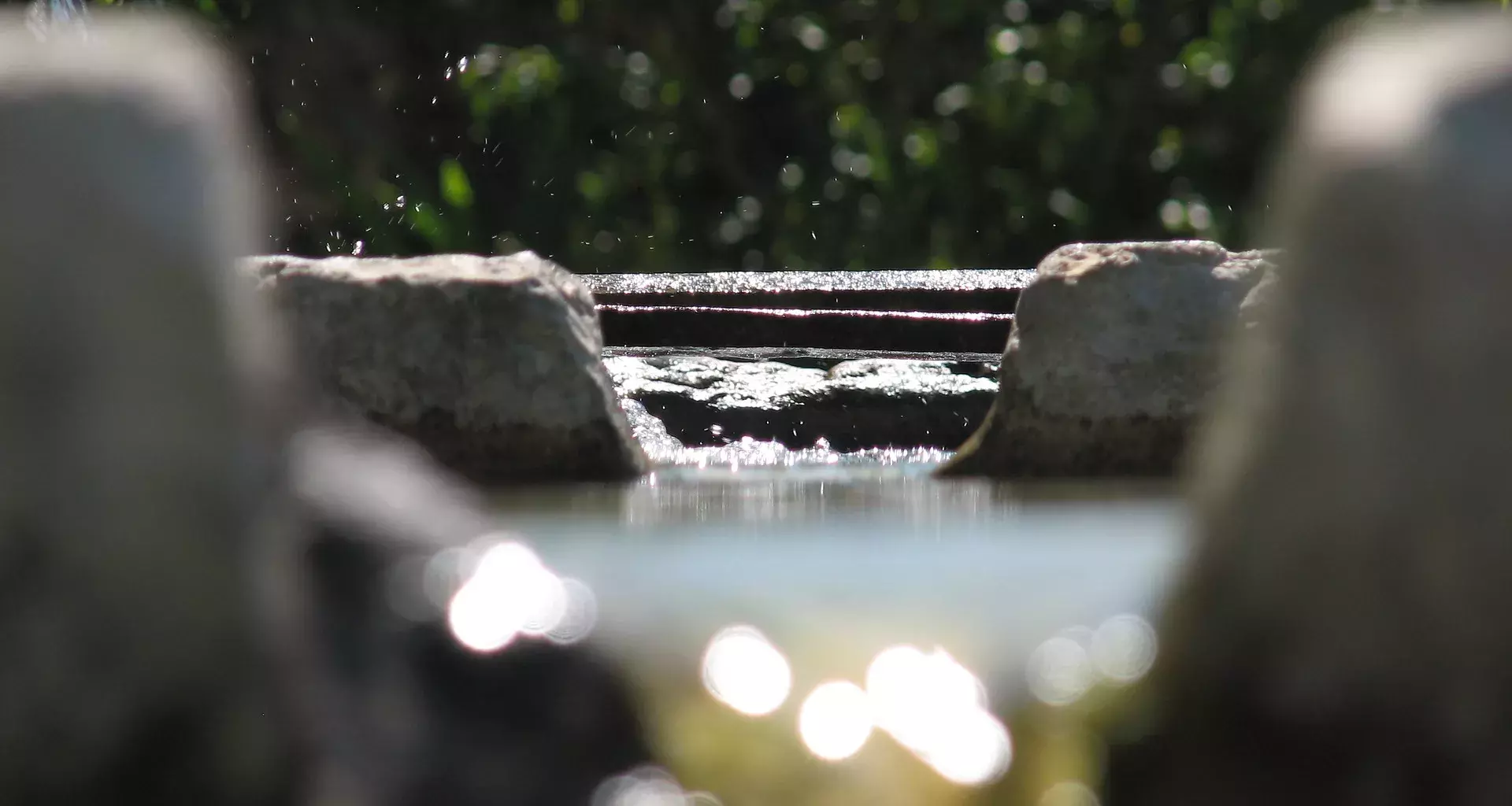 Cuidado del agua y sus cuencas