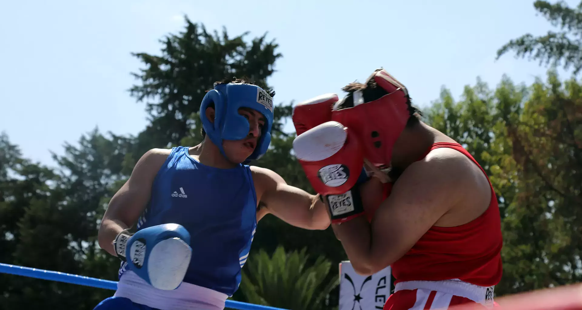 pelea de box