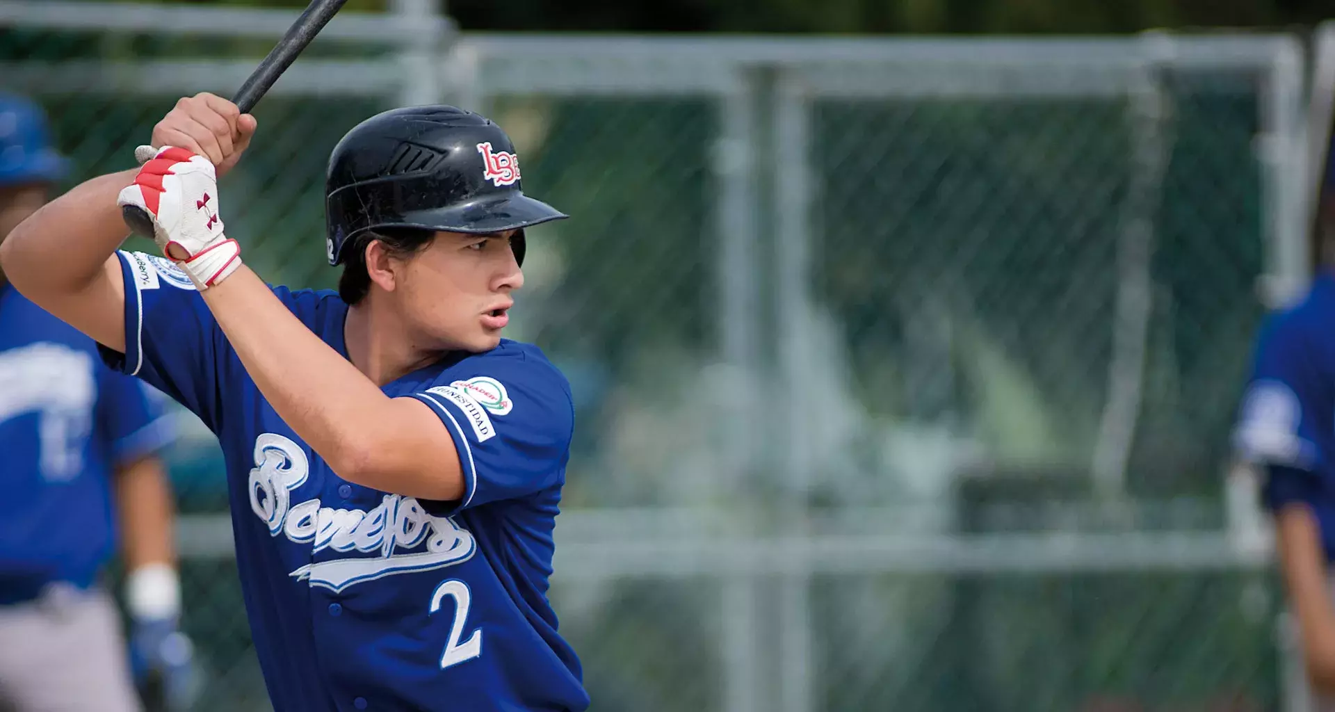 Borregos Monterrey béisbol