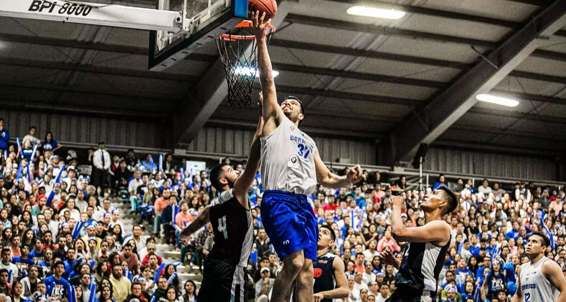 Estas son las estrellas del basquetbol colegial en México