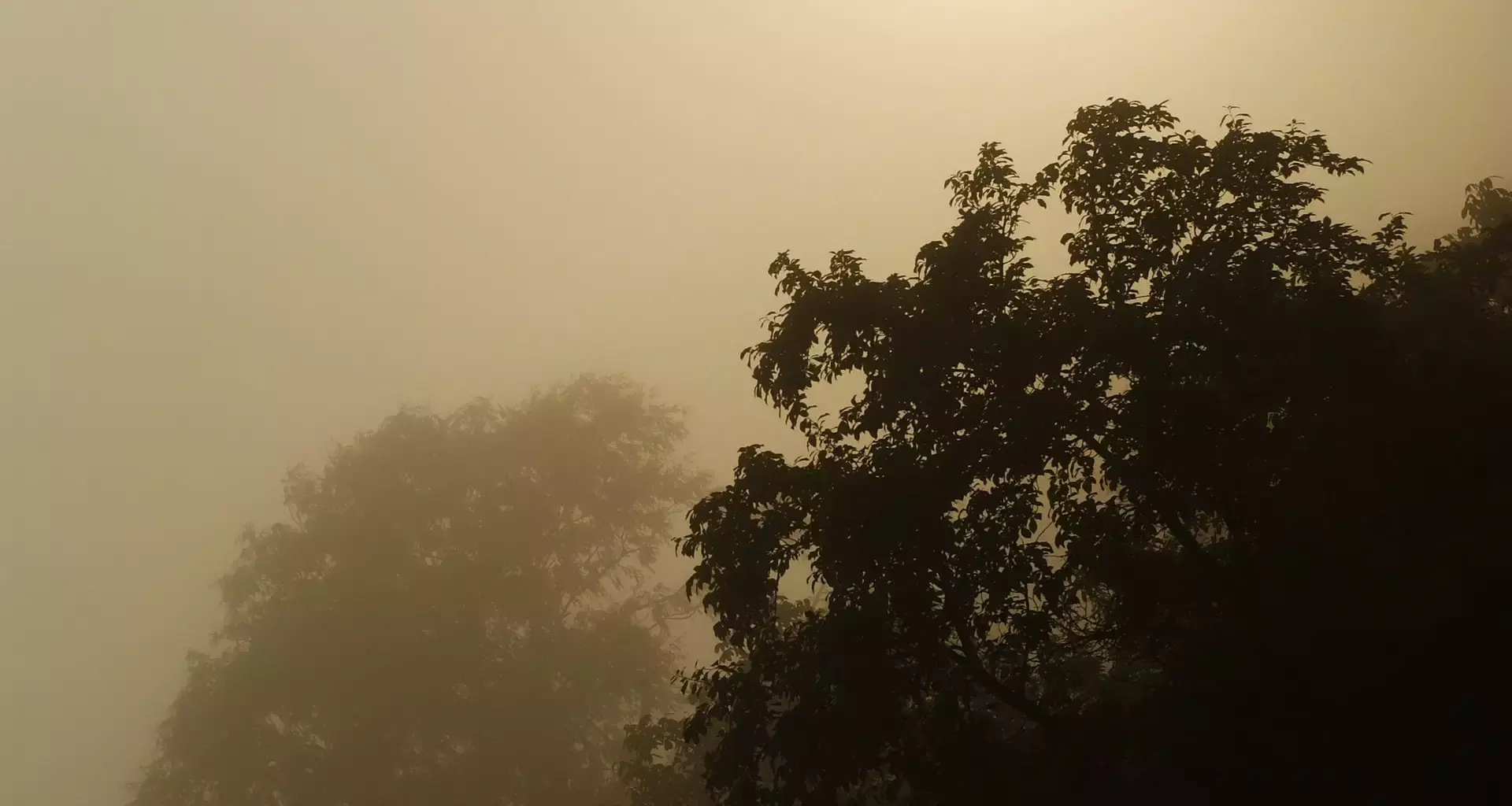 Contaminación atmosférica