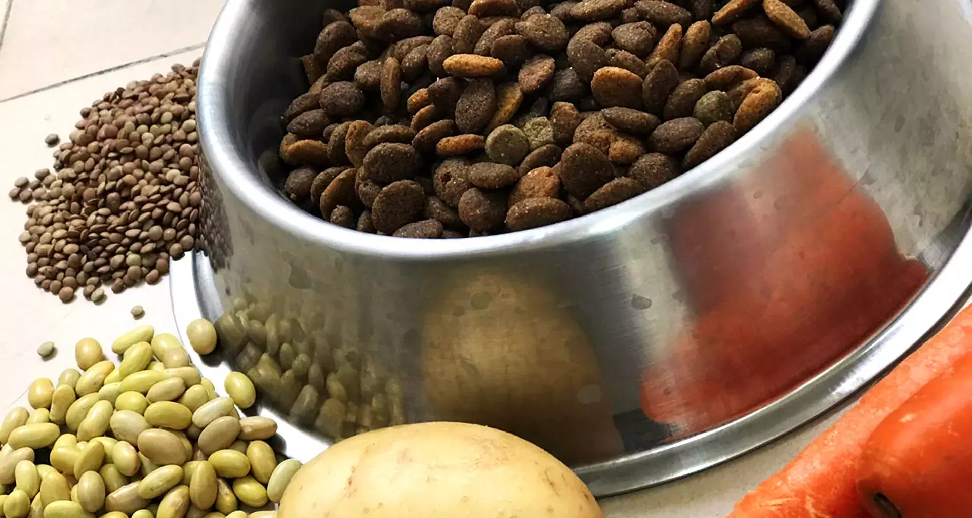 Croquetas veganas 