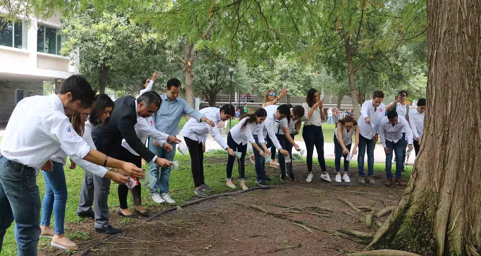 ÁrbolFraternidad