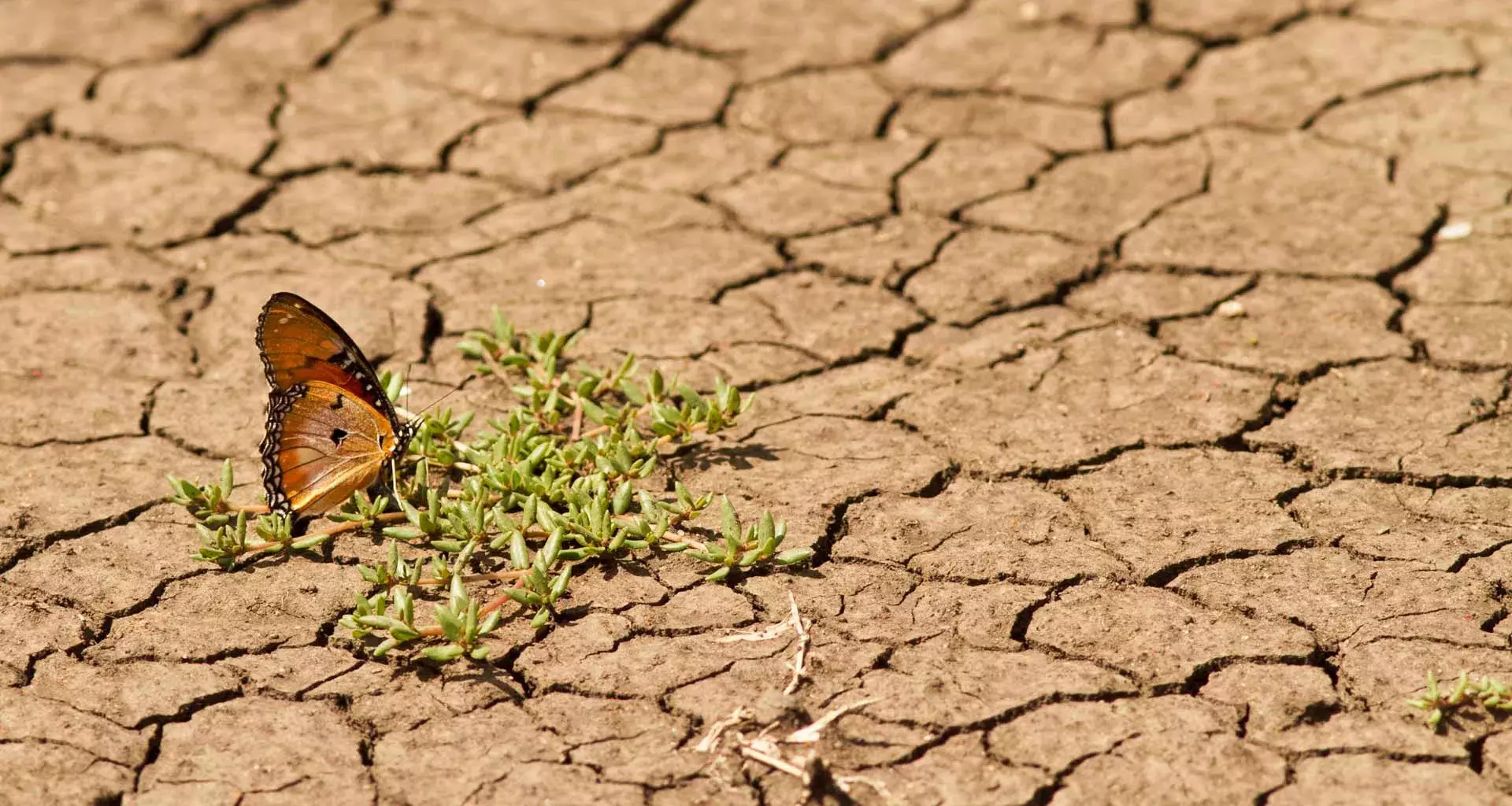 Tec firma carta de universidades para luchar contra cambio climático