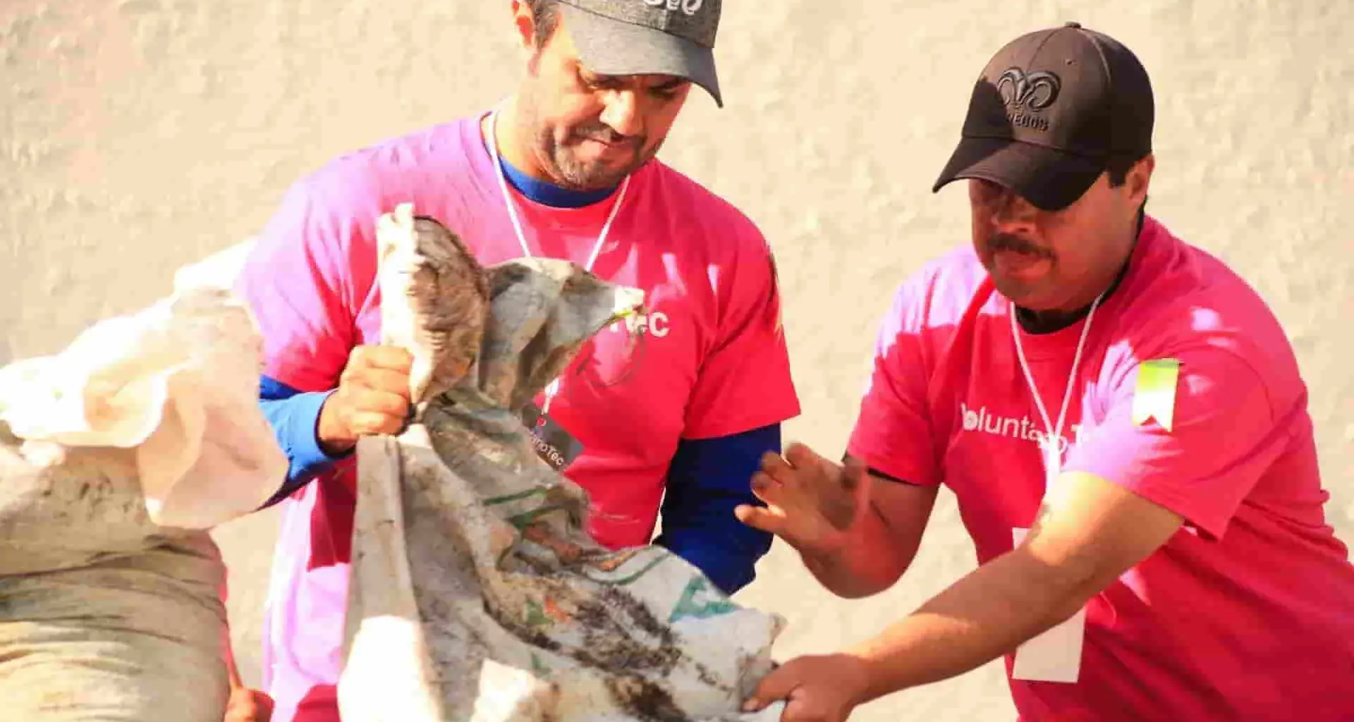 Voluntarios del Tec de Monterrey dan su tiempo y esfuerzo en ayuda de los demás
