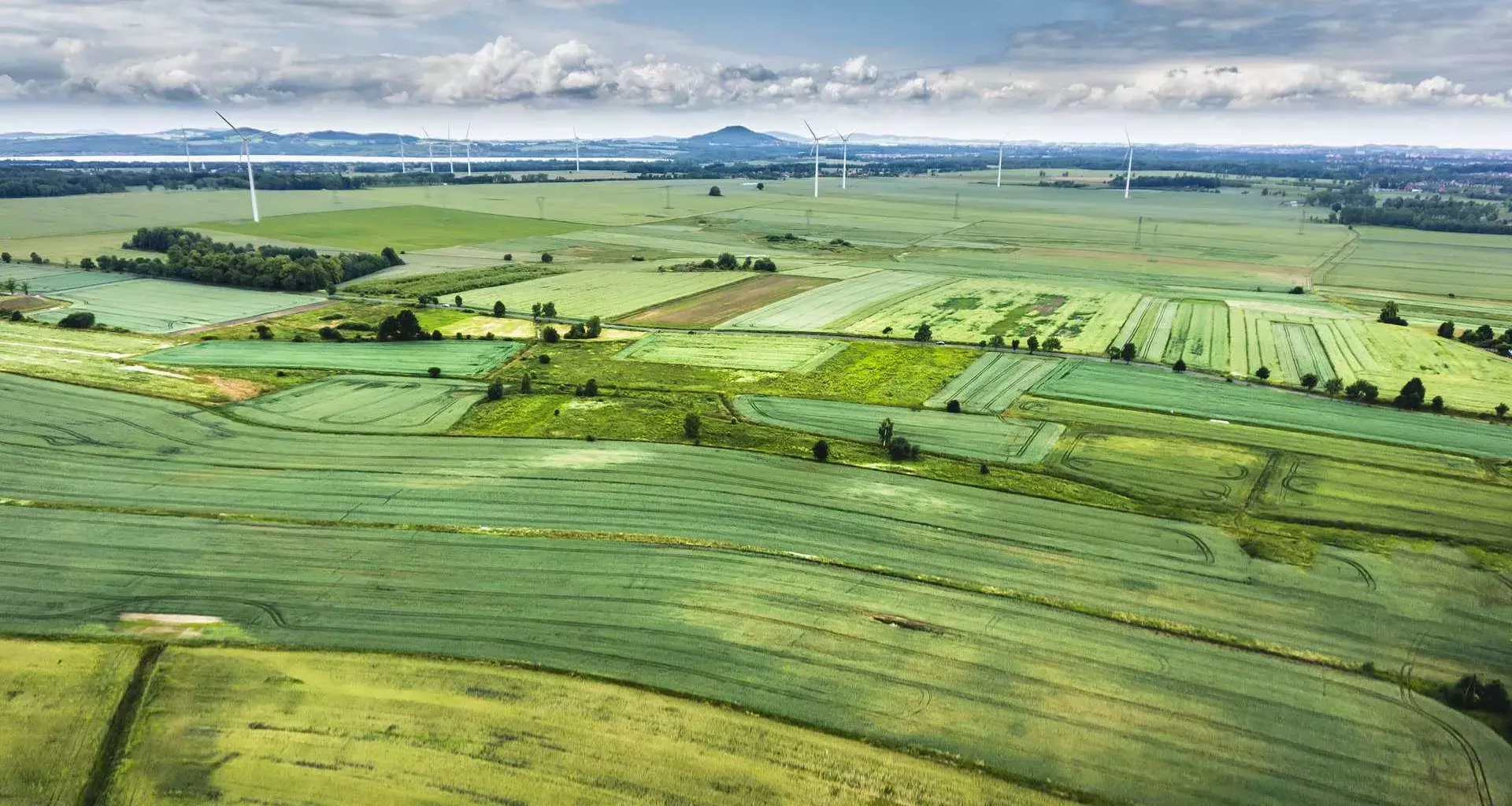 La industria alimenticia y los investigadores deben caminar juntos ante el reto