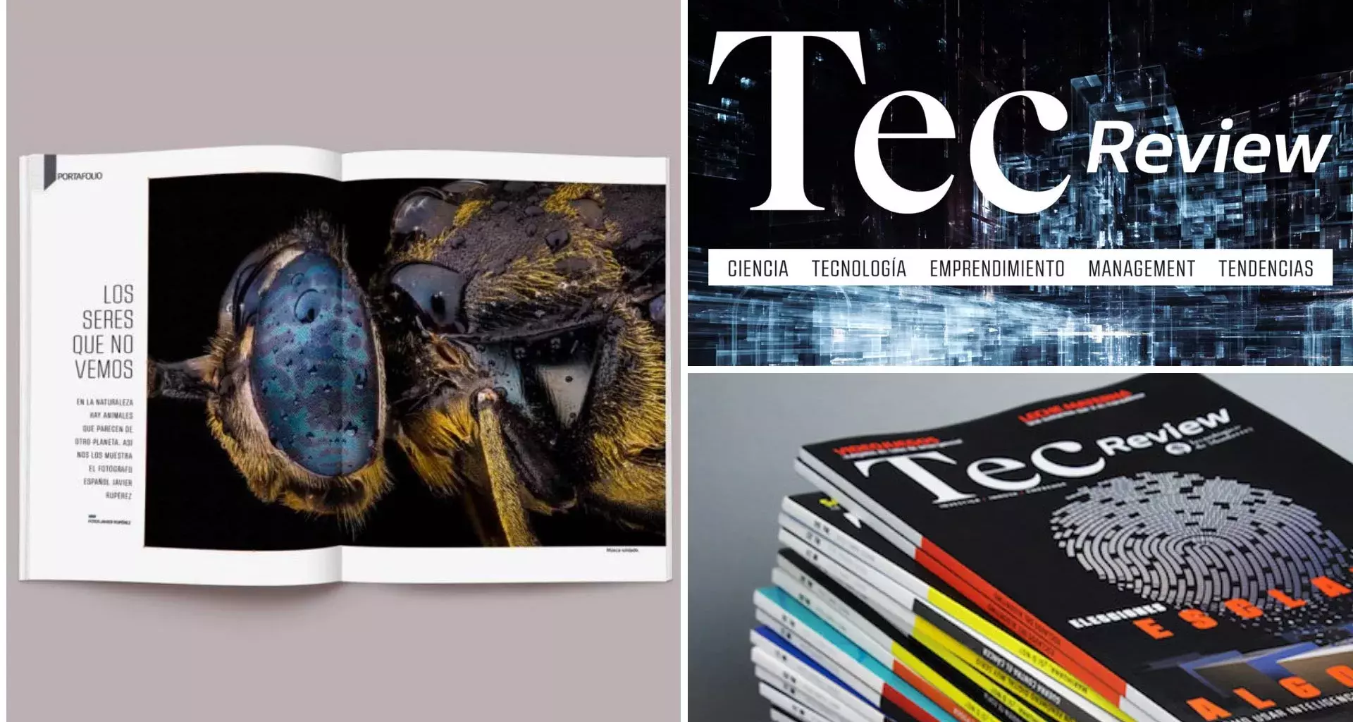 Tec Review, the Tec’s magazine, wins 3 CASE Platinum Awards