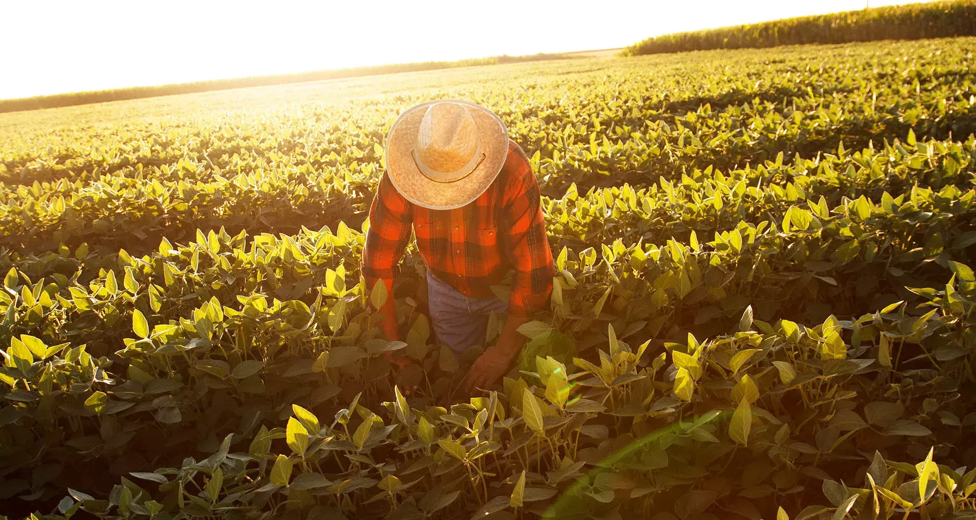 Tec and World Bank seek to optimize Mexican countryside’s value chain