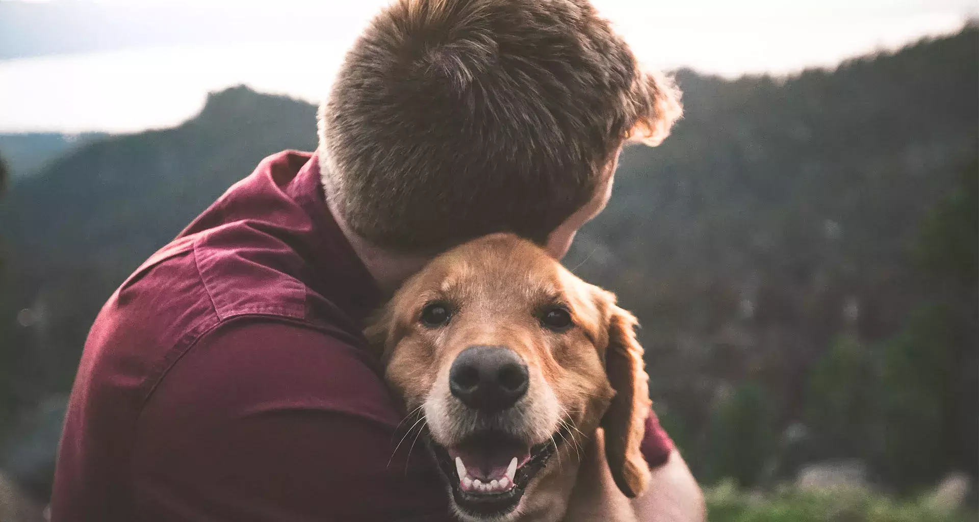 Amigos de 4 patas que te ayudan a tu estado físico y emocional