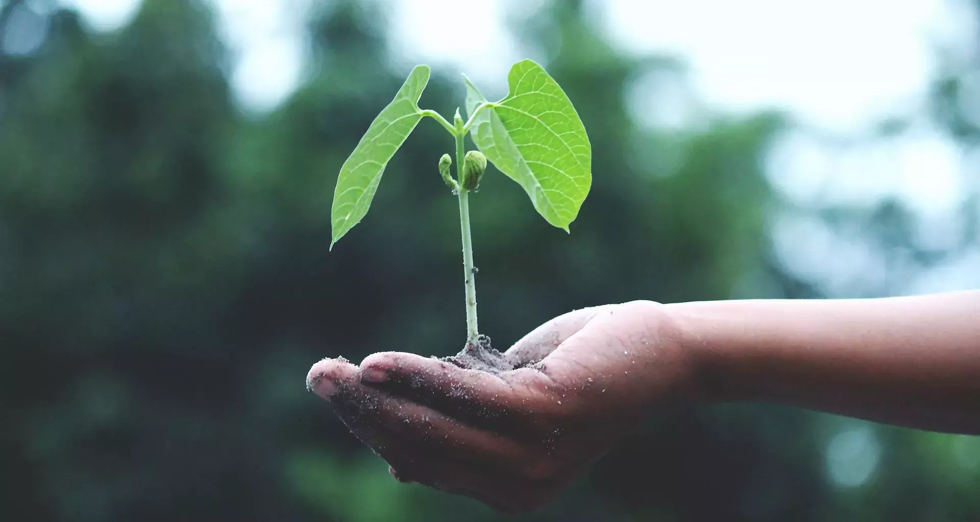 Con iniciativa de emprendimiento social del Tec impactarán al país