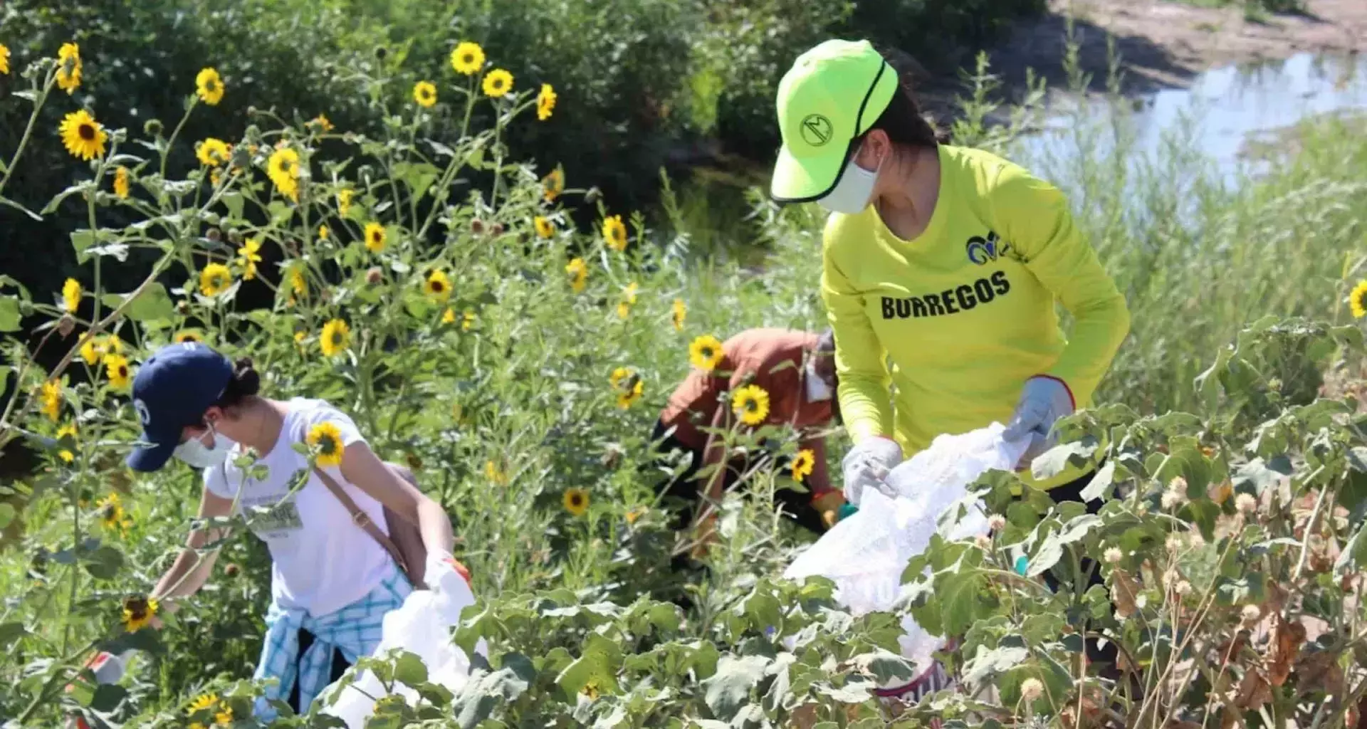 Los alumnos del grupo de robótica recolectando basura.