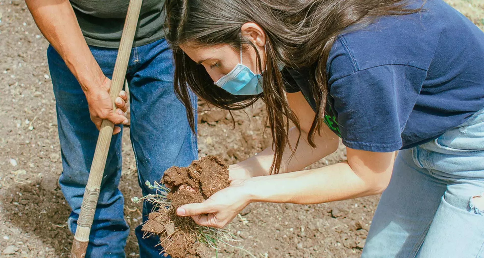 Margarita busca renovar fertilidad del suelo