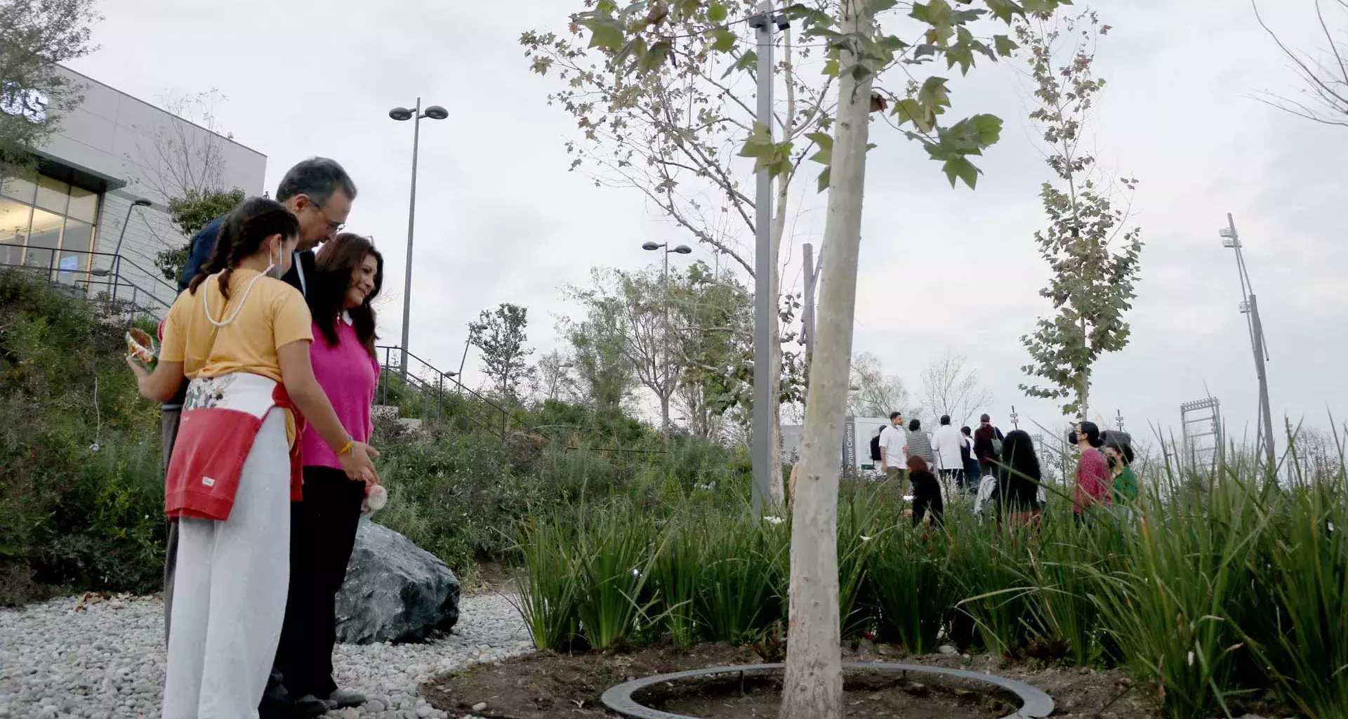 'Siembran' generosidad donantes de árboles en el Parque Central