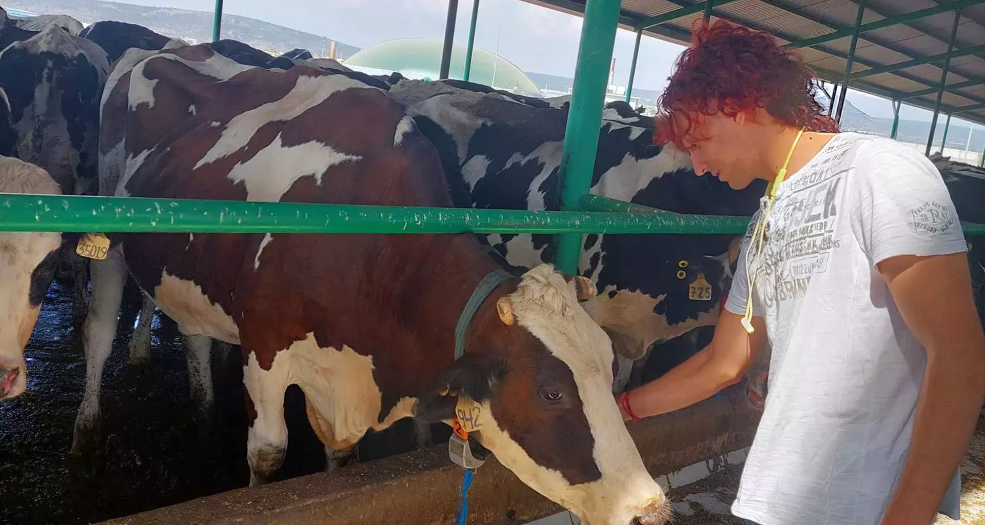 Estudiantes del Tec campus Querétaro apoyan la sustentabilidad con Biodigestores