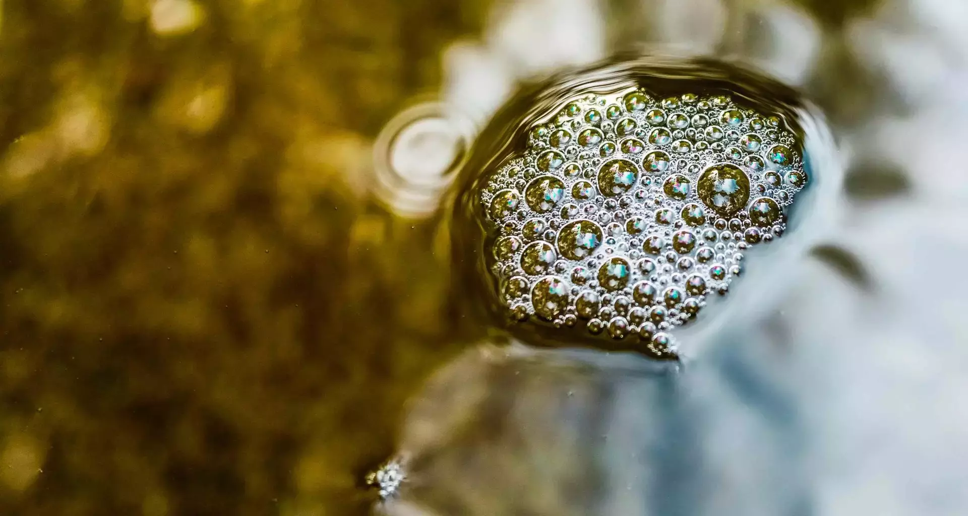 Contaminación del Agua