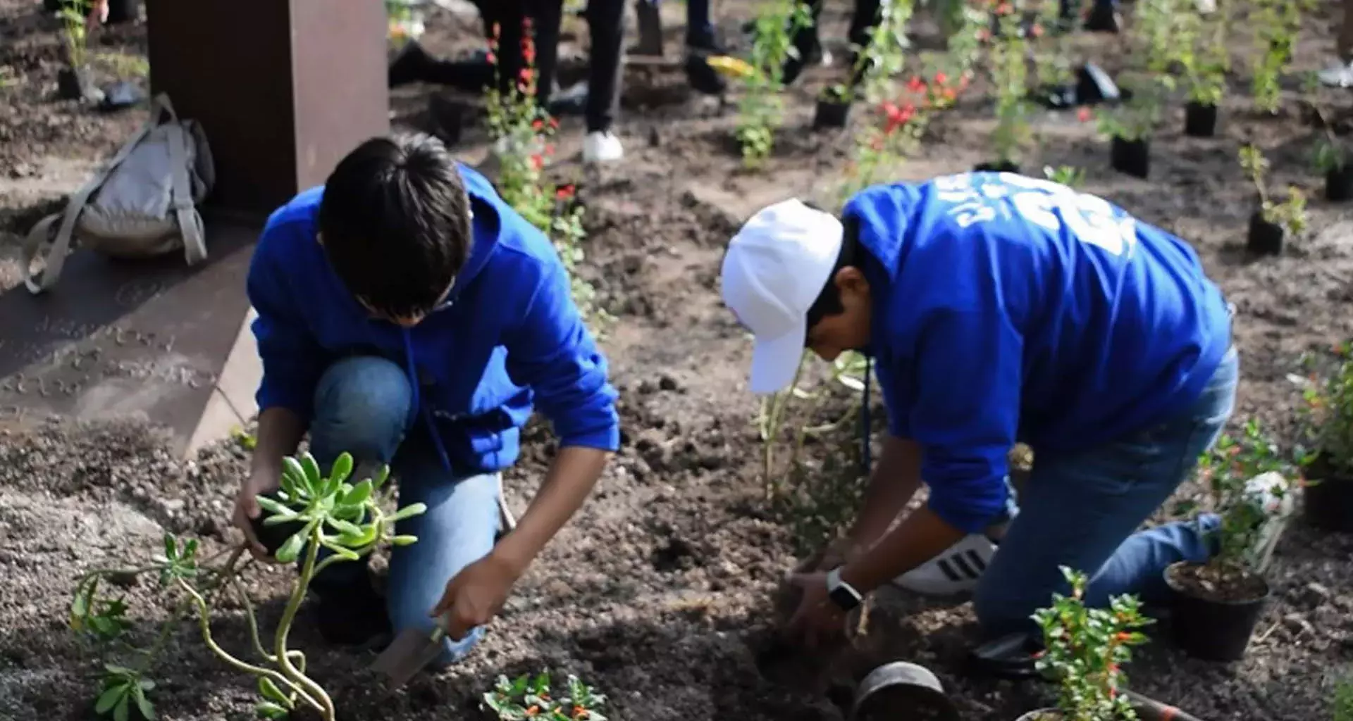 Alumnos de Prepa Tec construyen Jardines Polinizadores