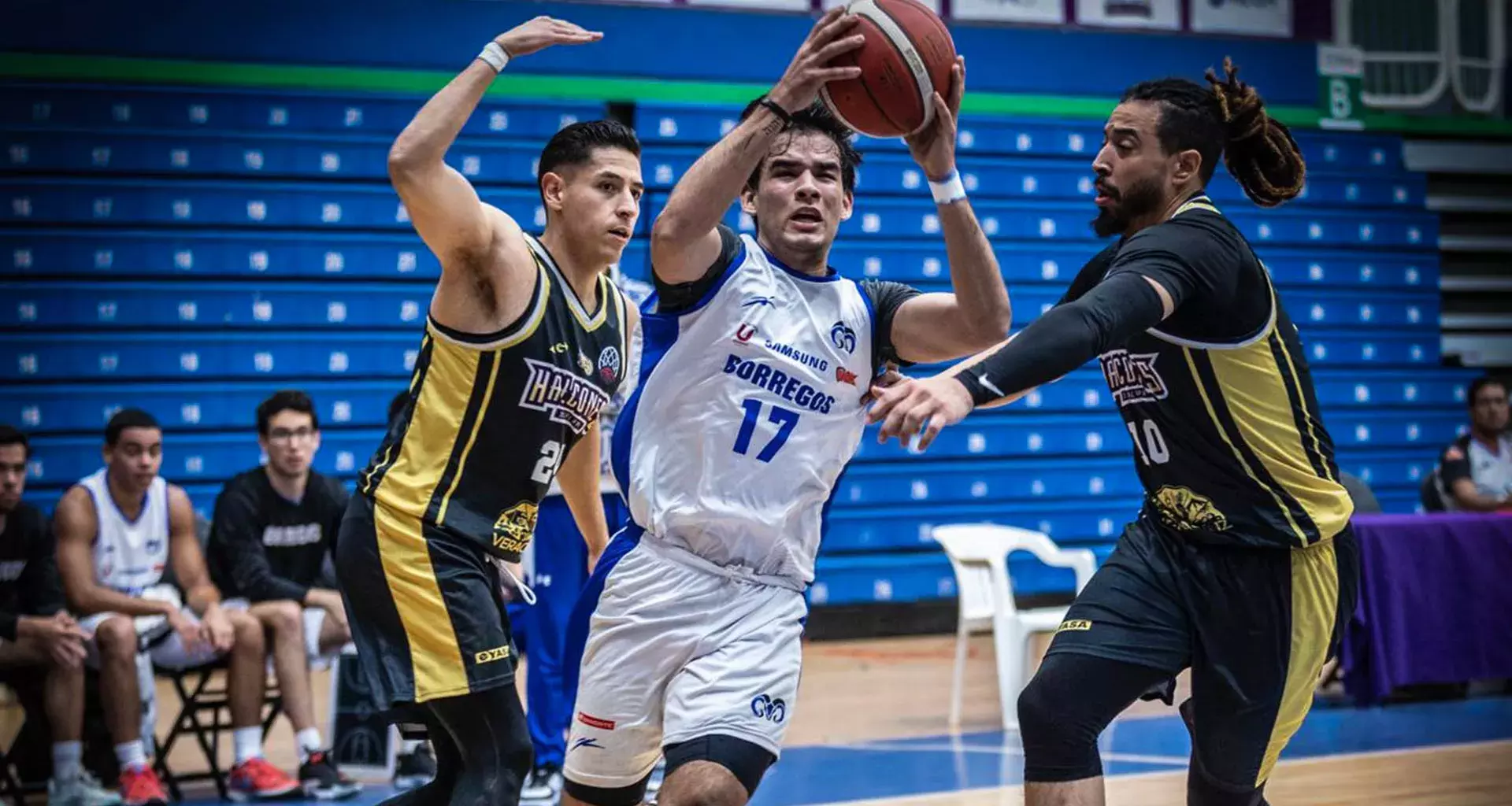 Borregos Tec juegan con ligas mayores de básquetbol