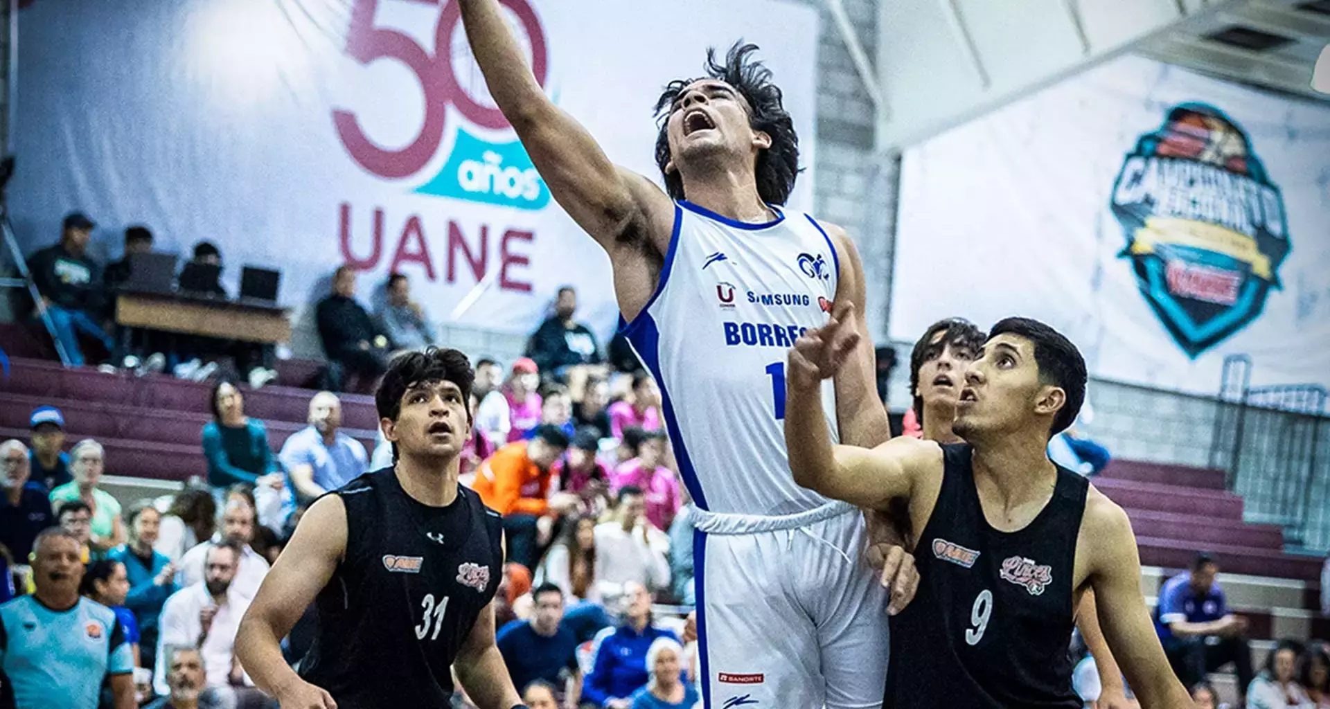 Borregos Tec Santa Fe de básquetbol a Primera División de Liga ABE