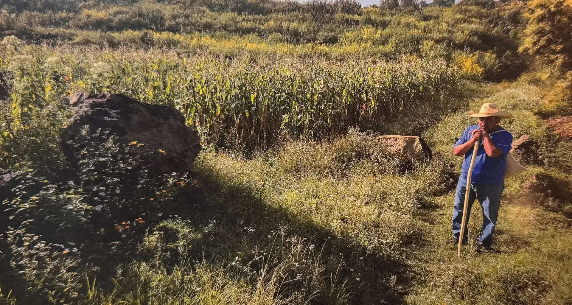 EXATEC crea documental de Xochimilco