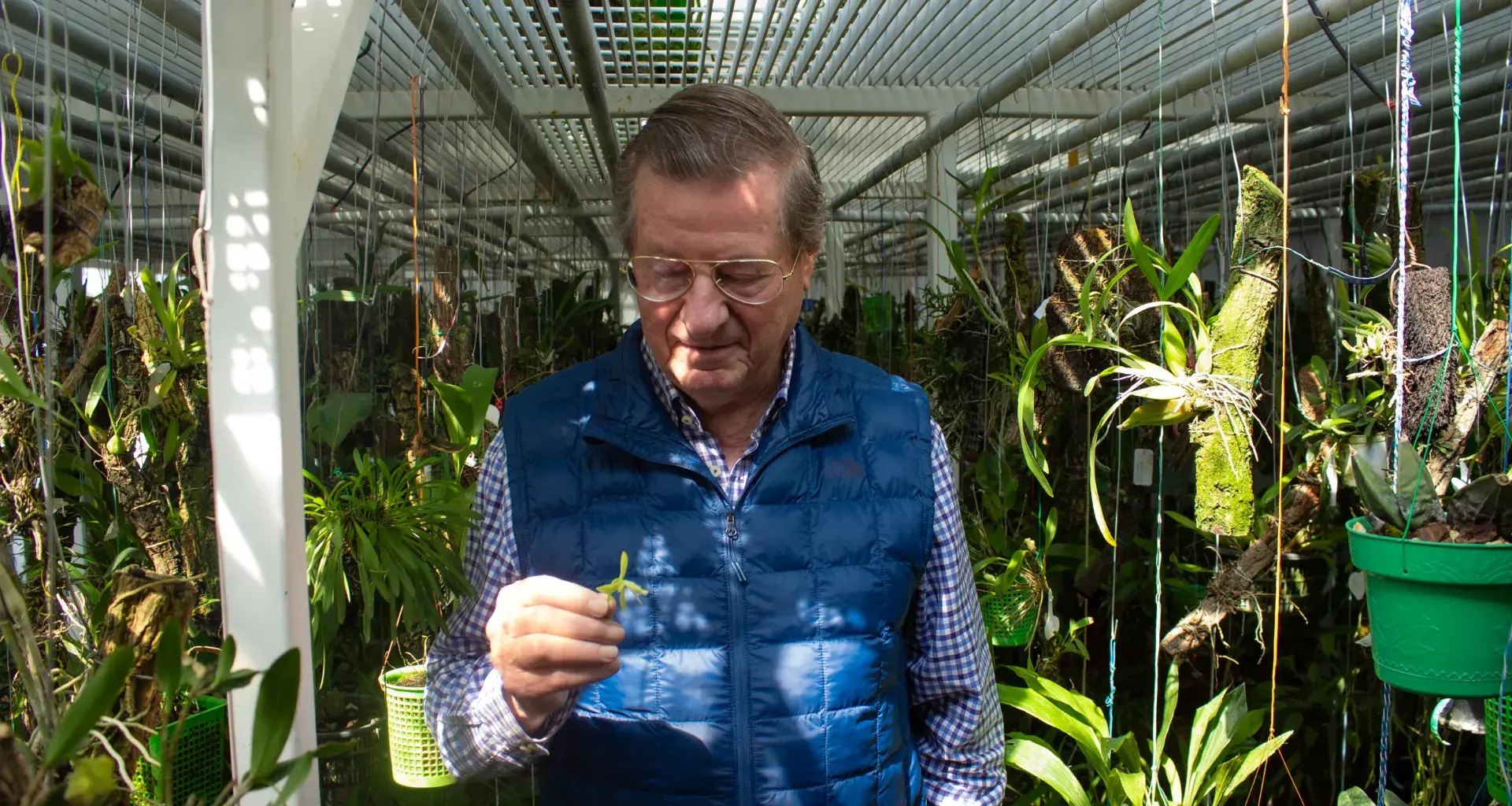 Eric Hágsater en el herbario de la Asociación Mexicana de Orquídeas, donde estudia y conserva especies de orquídeas.