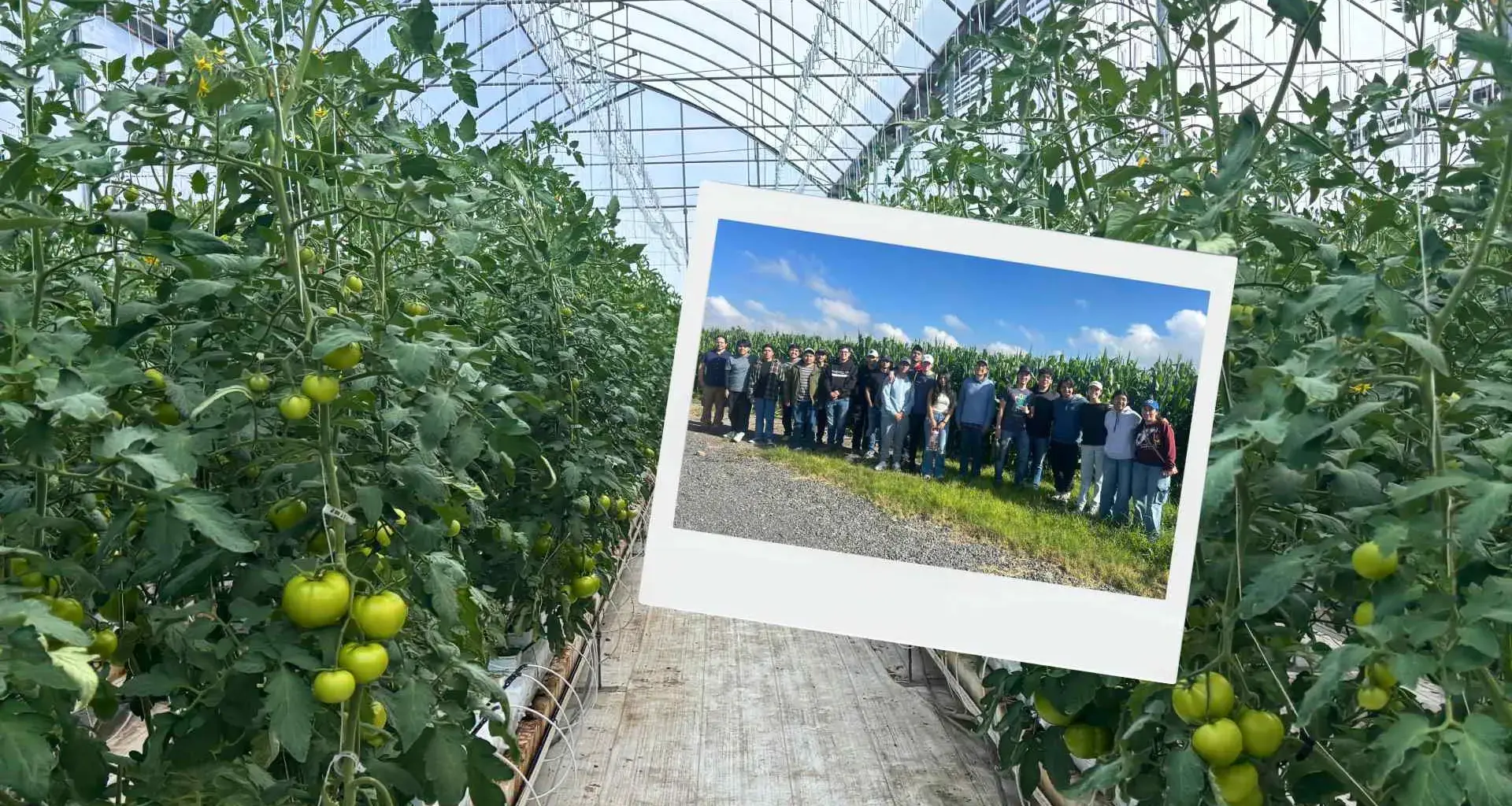 Alumnos desarrollan proyectos en innovación agrícola en el Centro de Agricultura Experimental 