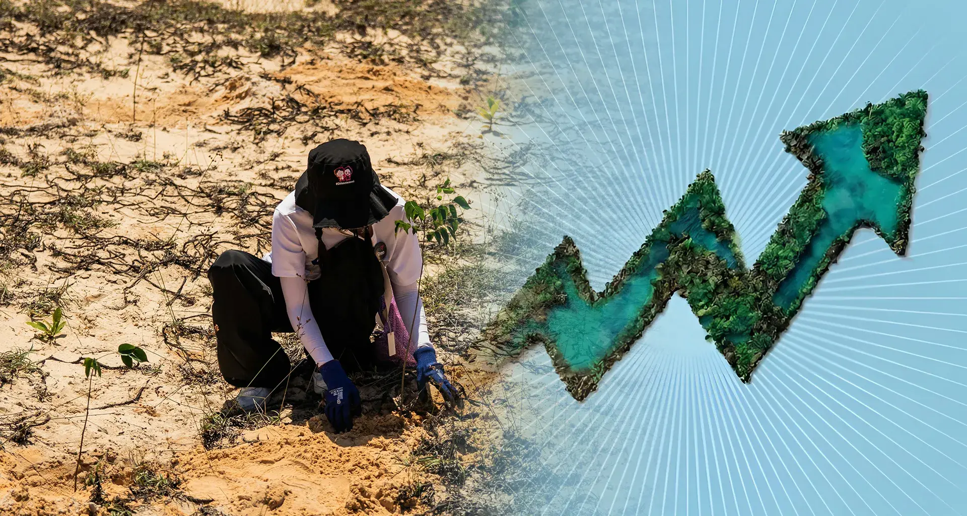 Representación de educación verde y sostenibilidad ambiental para estudiantes y profesionales.