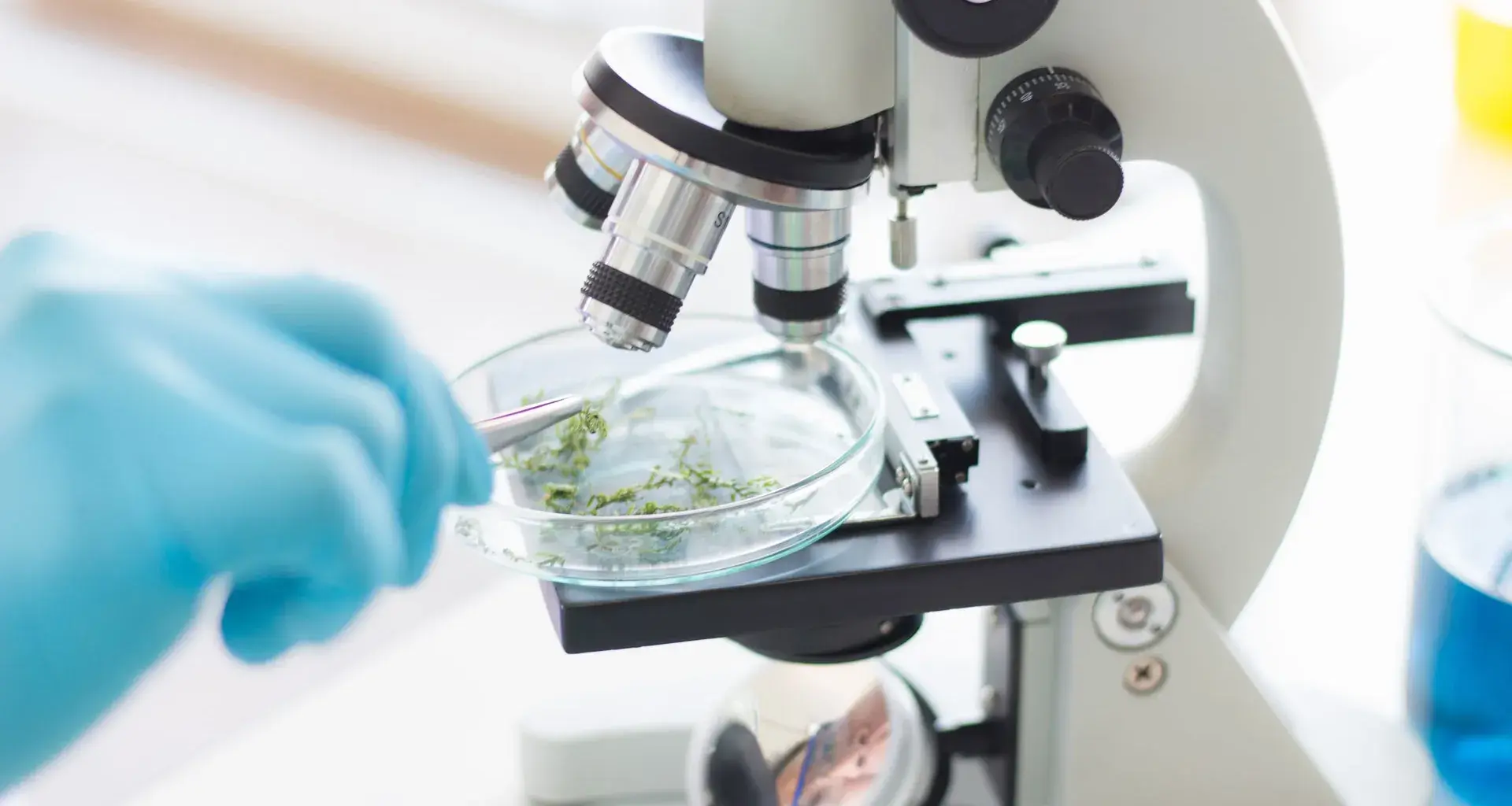 Emprendimiento XiA'H, Tec de Monterrey.