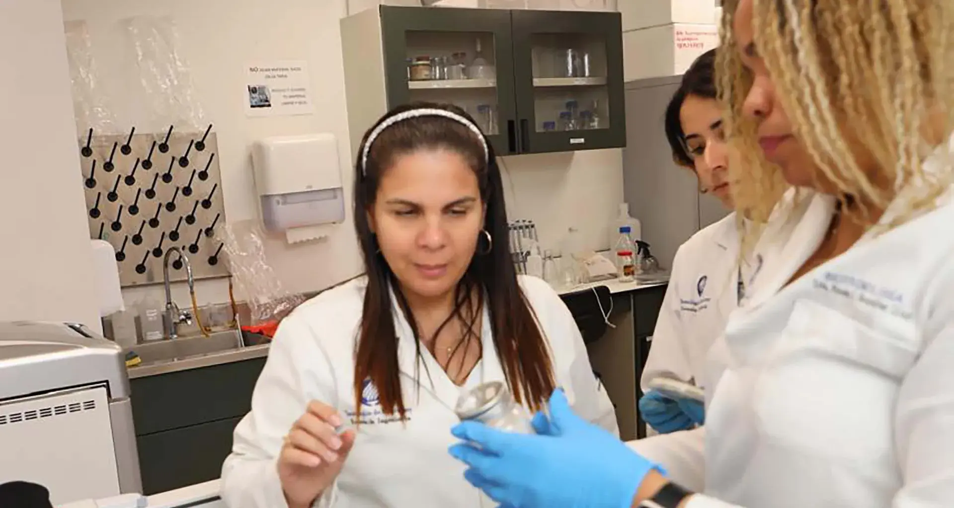 Investigación hongos comestibles.