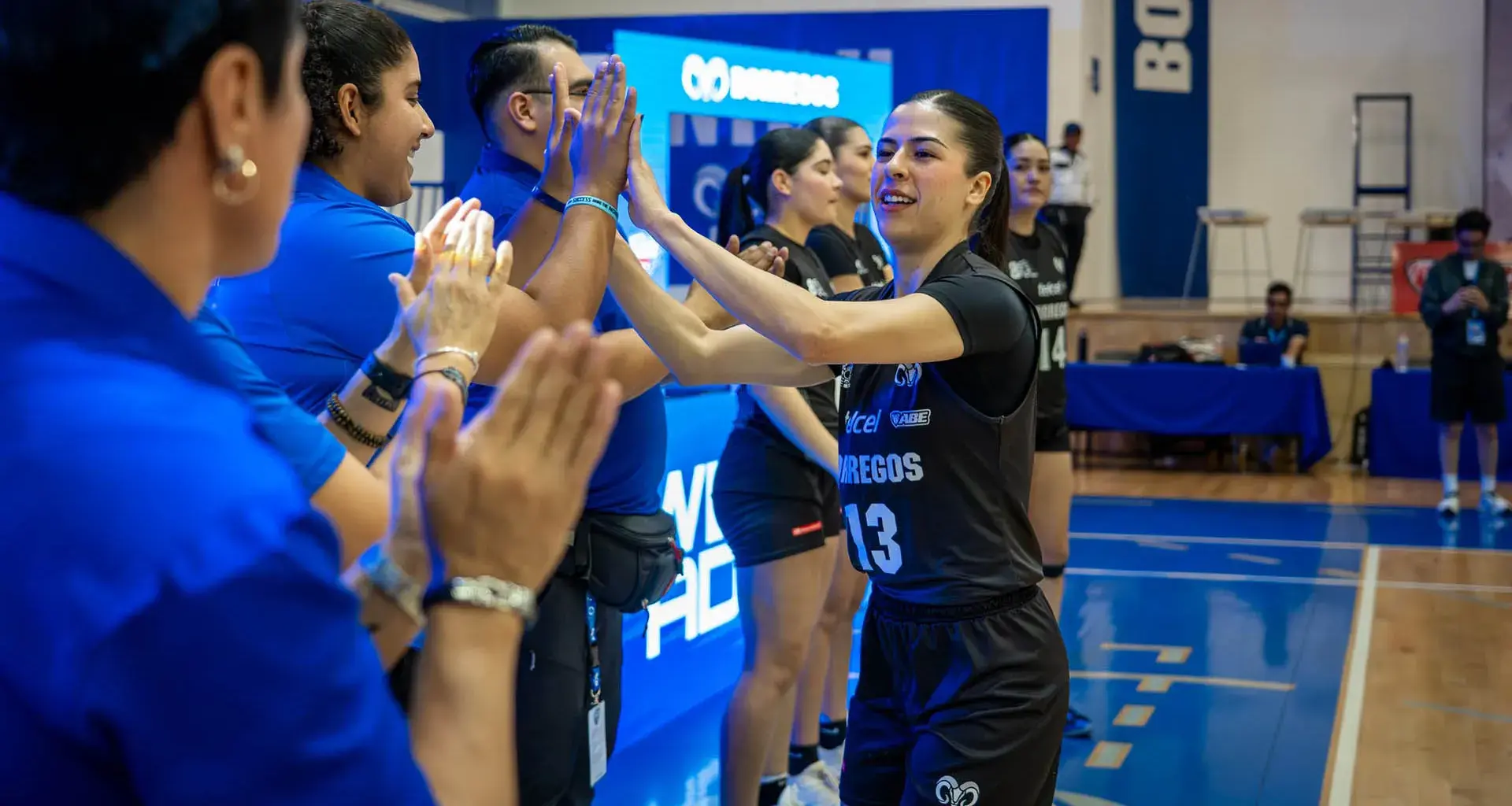 De Borregos MTY a Fuerza Regia