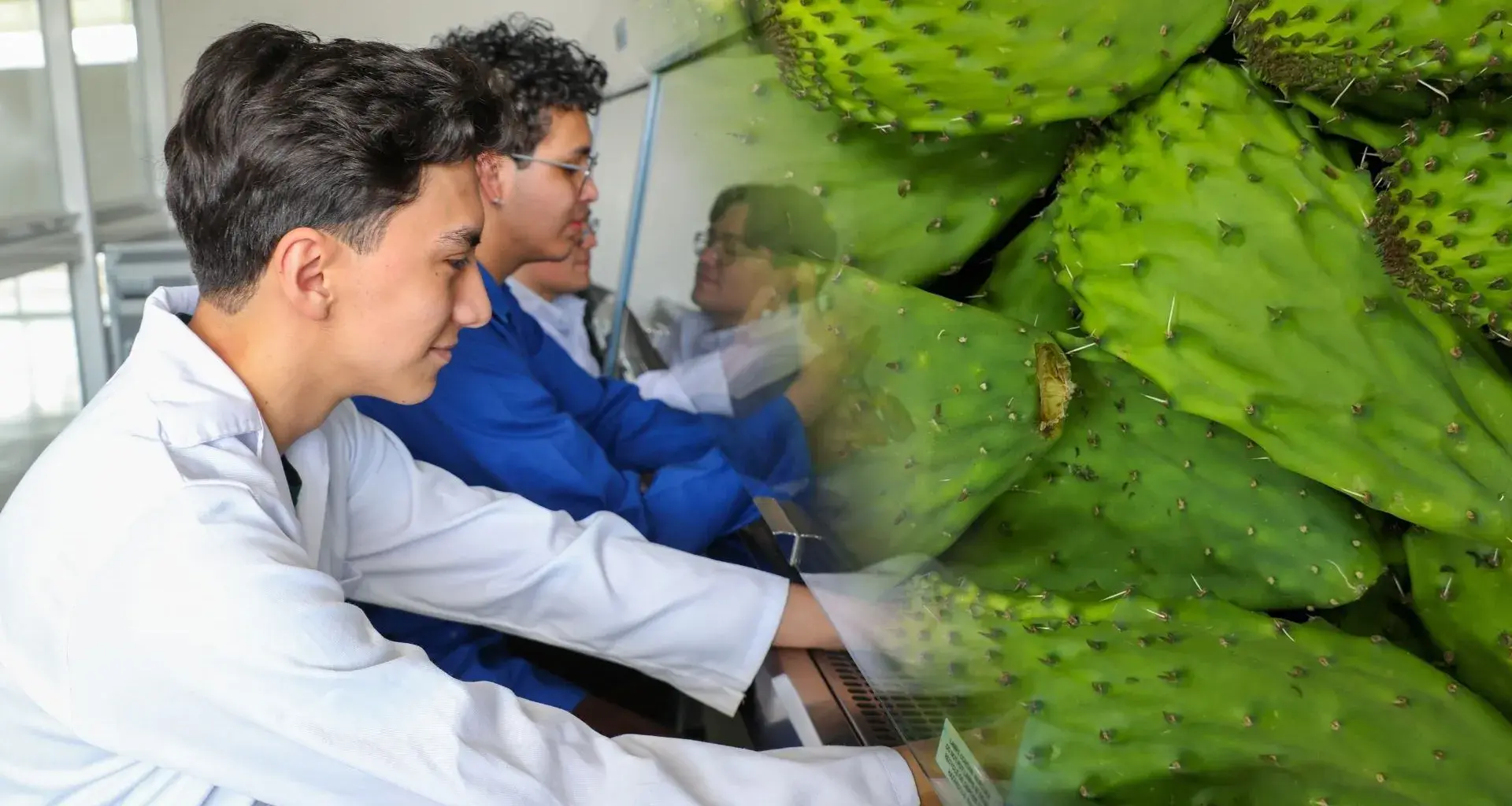 Estudiantes del Tec en Estado de México desarrollan bioplástico a base de nopal, una alternativa sustentable a los desechos tradicionales.