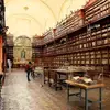 Biblioteca Palafoxiana: la primera pública en América (opinión)