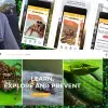 App que identifica especies de arañas, alacranes y serpientes