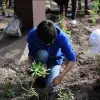 Alumnos de Prepa Tec construyen Jardines Polinizadores