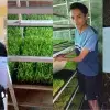 Collage con 4 fotografías en las que un joven de San Luis Potosí posa con su diploma de Líderes del Mañana y otras fotografías en las que se muestra su proyecto de innovación en Mexquitic.