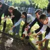 ¡Campus multicultural! Celebran en Monterrey Árbol de la Fraternidad