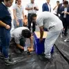 Concurso geomuros, que ganó el Tec Guadalajara.