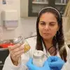 Investigación hongos comestibles.
